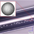 Mikrosfery Y2O3 przygotowane metodą sol-gel umieszczono w kwarcowej kapilarze. Pokazano pojedynczą mikrosferę Y2O3 przygotowaną metodą sol-gel, powiększenie 150x.