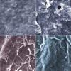 Zdjęcia mikroskopowe próbek celulozy, powiększenia ok. 2000x, kolory sztuczne. Górny rząd: próbka wyjściowa oraz próbka implantowana cynkiem poddana działaniu grzybów (widoczne liczne czarne pęknięcia świadczące o rozkładzie celulozy). Dolny rząd, obie próbki poddane działaniu grzybów: po implantacji miedzią (pęknięcia pojedyncze; w prawej części kadru widoczne nitki grzybów) oraz po implantacji srebrem (brak pęknięć). (Źródło: NCBJ/SGGW)